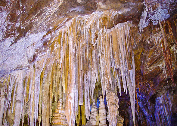 Stalactites inside Waitomo Glowworm Caves