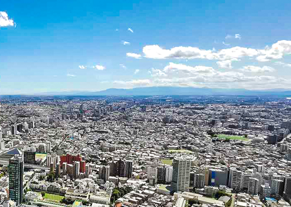 The Cityscape of Tokyo