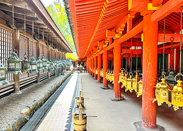 The Bronze Lanterns in Kasuga Taisha Shrine