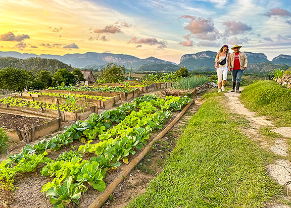 The Organic Farm of Agro-ecological El Paraiso