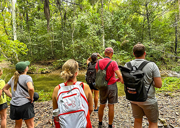 Hiking in Topes de Collantes Nature Reserve