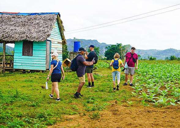 Visiting a Tobacco Farm, Vinales