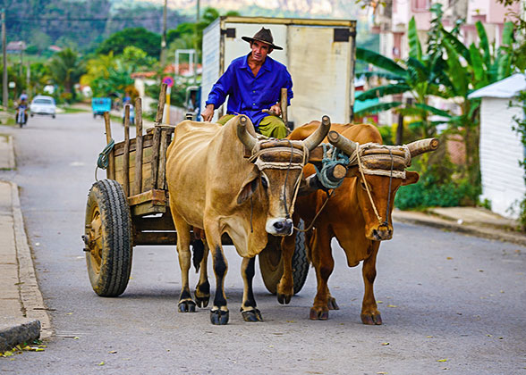 The Charming Town of Vinales