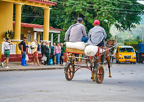 The Horse-cart Taxi, Vinales