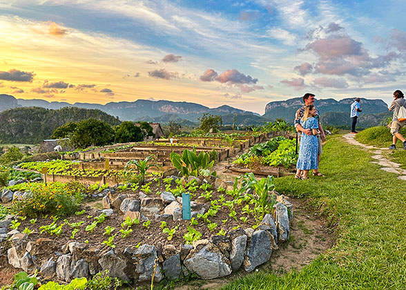 The Organic Farm of Agro-ecological El Paraiso