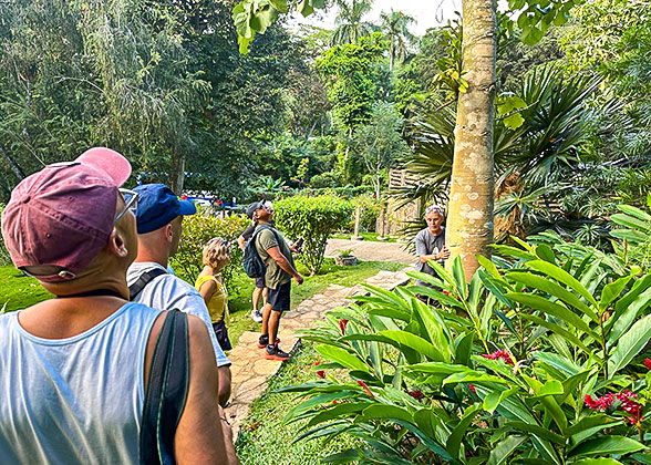 Soroa Orchid Botanical Garden