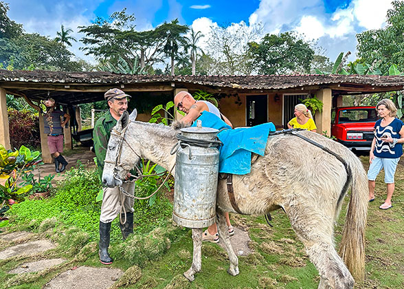 Experience Local Life