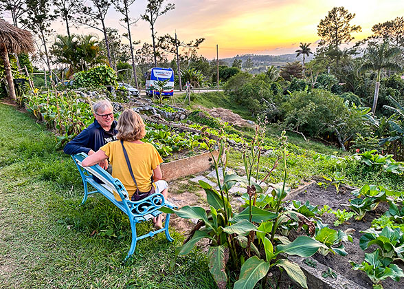 Enjoying Leisure Time at the organic farm