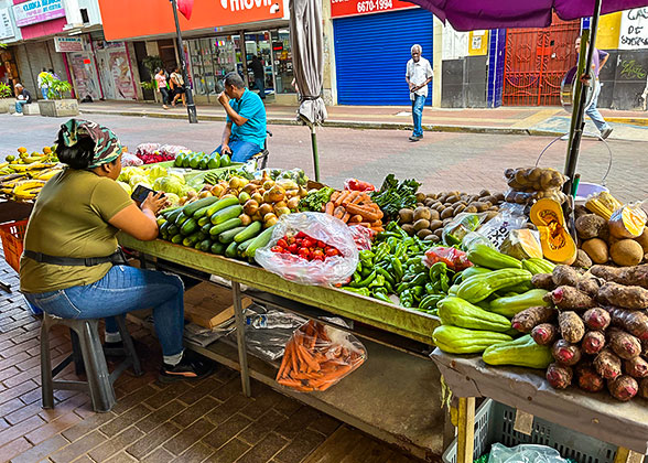 Local Vendor