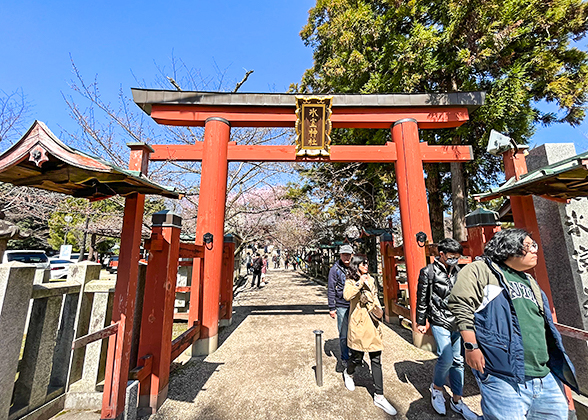 The Gate of Himuro Shrine