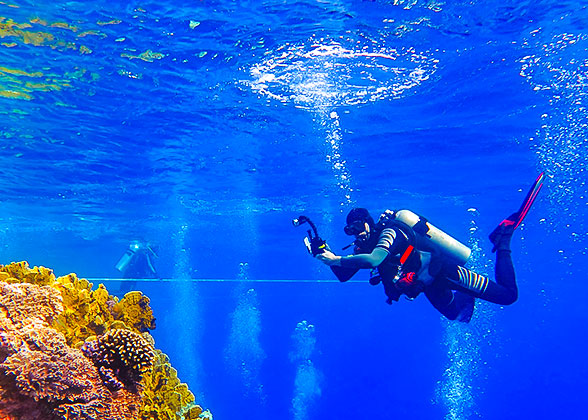 Snorkeling