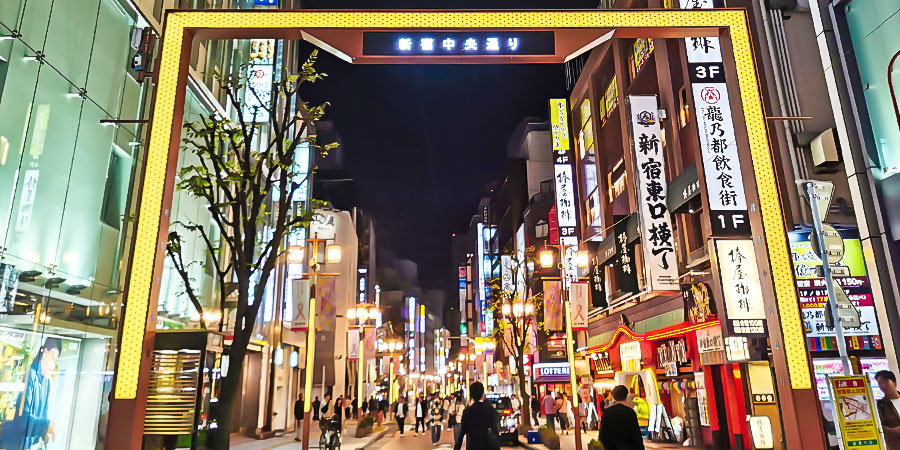 Shinjuku Night View