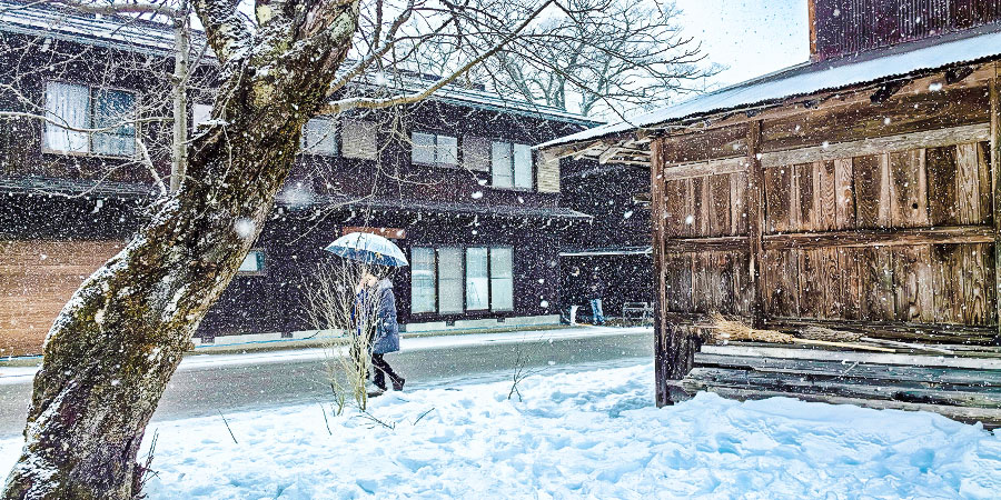 Winter in Japan
