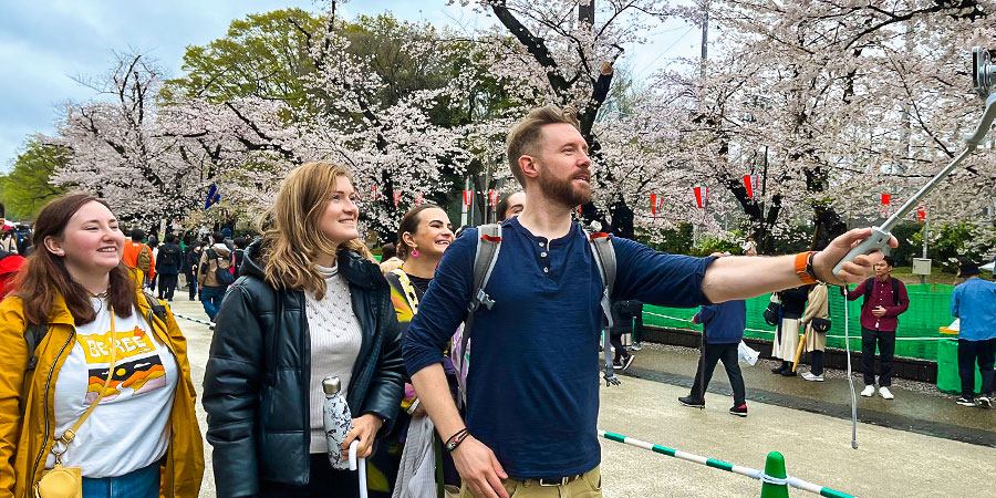 Cherry Blossom Season, Ueno Park