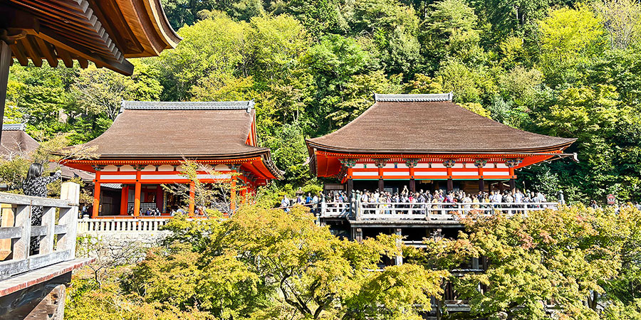 Fall Foliage Season, Kiyomizu-dera Temple