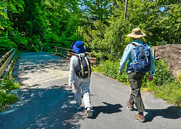 Hiking Trails of Nakasendo Way