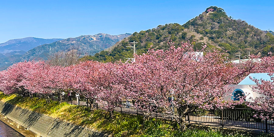 Japanese Alps