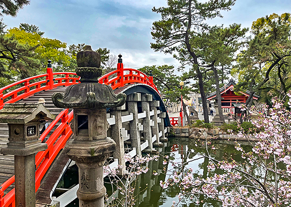 Sorihashi Bridge and Beautiful Cherry Blossom