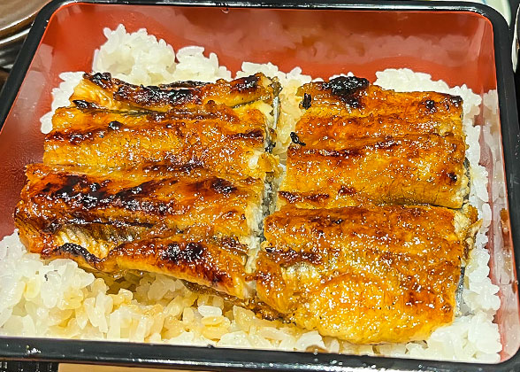 Eel over Rice