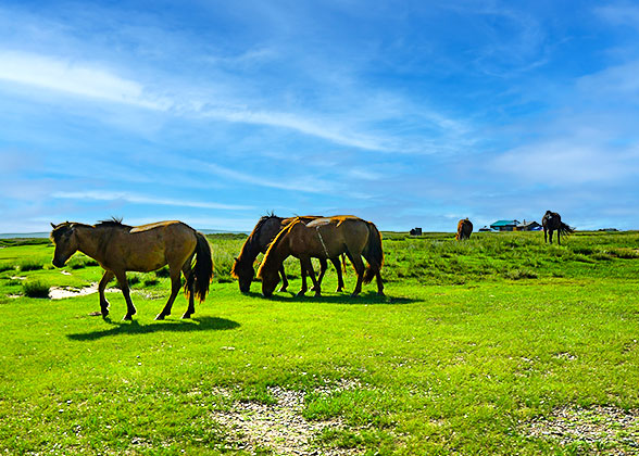 Buryat Village