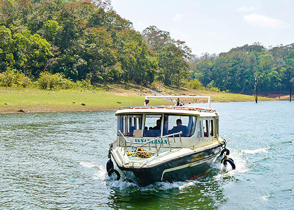 Boat Tour