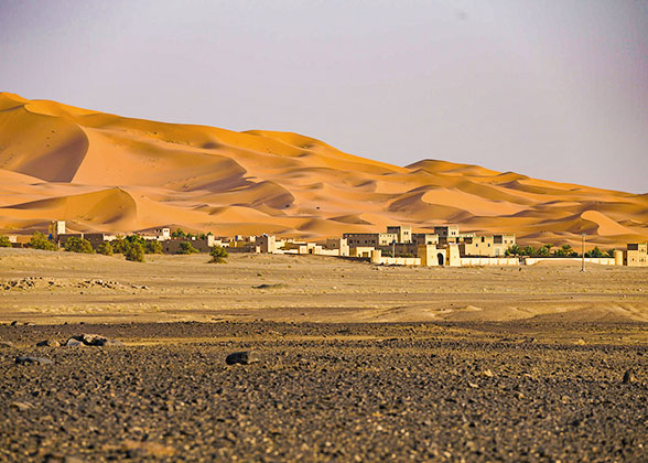 mexico-desert