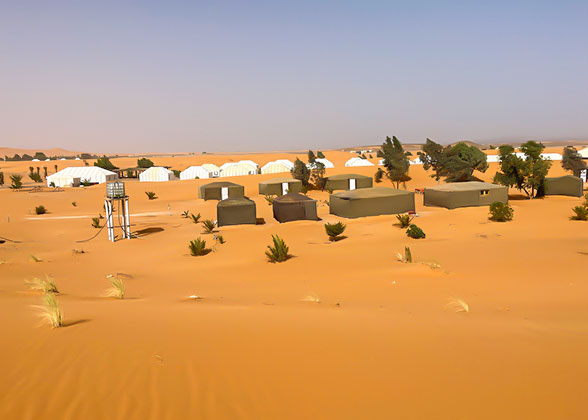The Sonora Desert