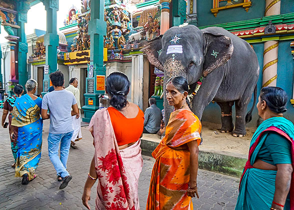 Sri Manakula Vinayagar Temple