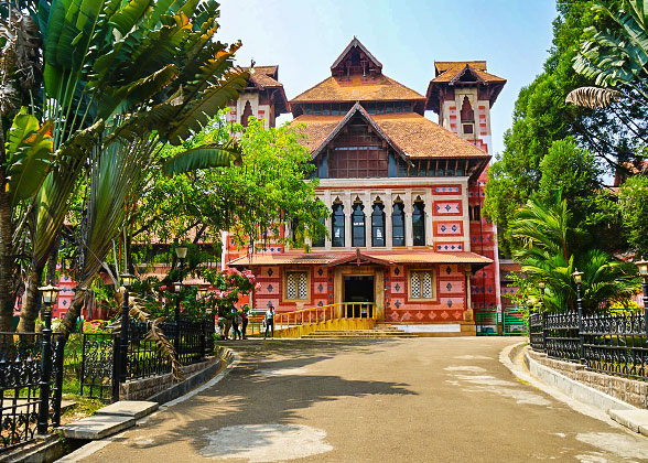 Napier Museum