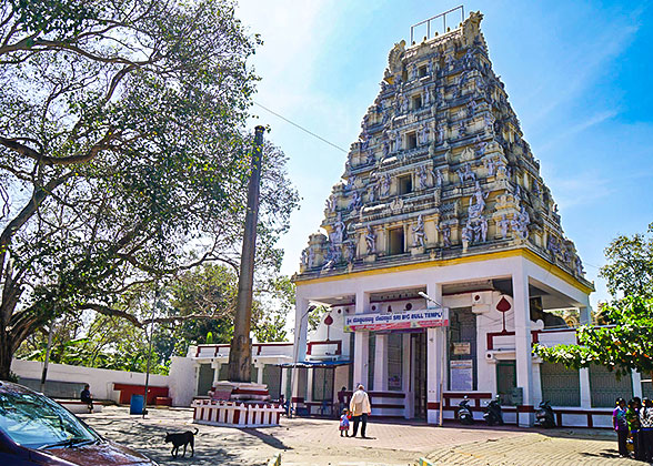 Bull Temple