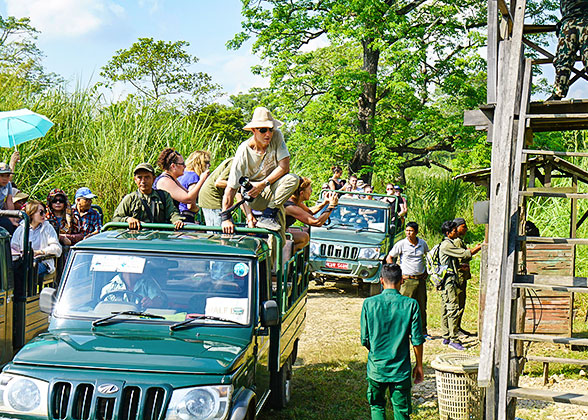 Jeep Safari