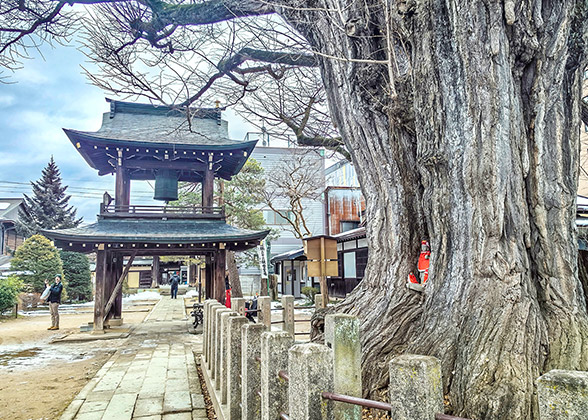 Bell Tower Gate