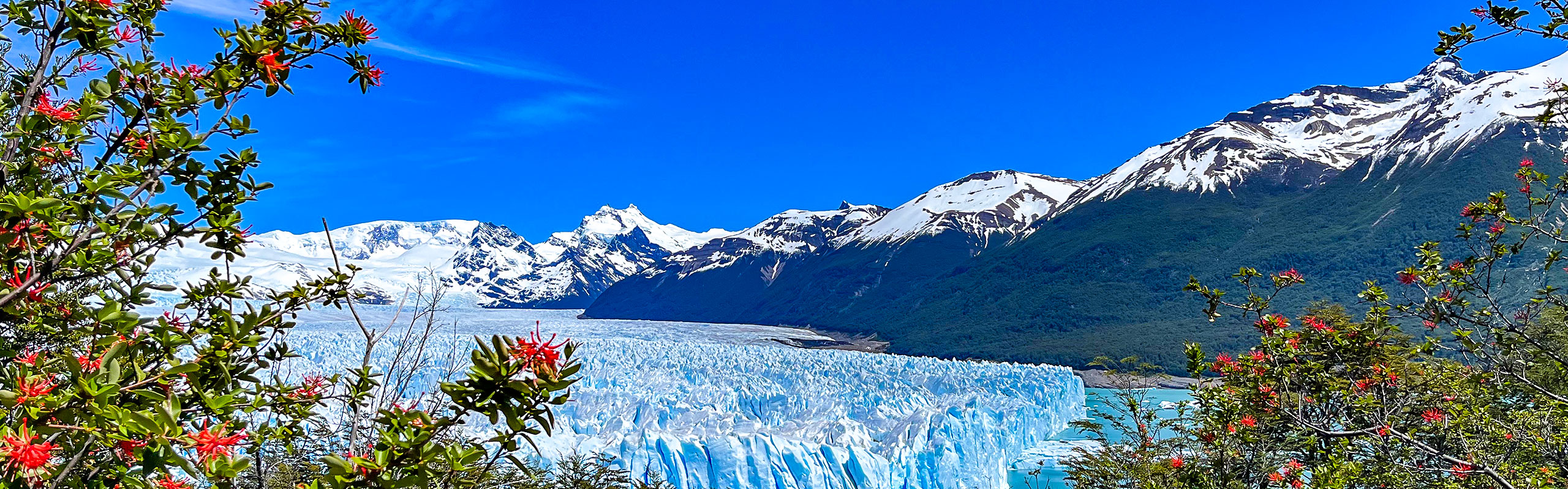 Perito Moreno Glacier