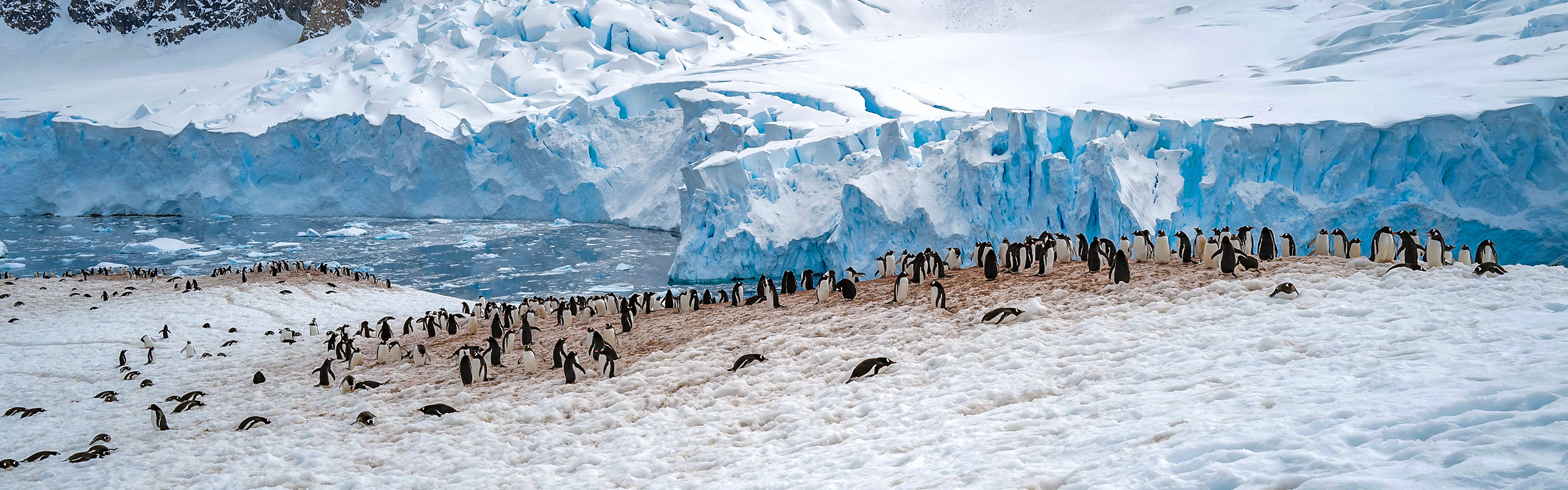 Perito Moreno Glacier, Argentina