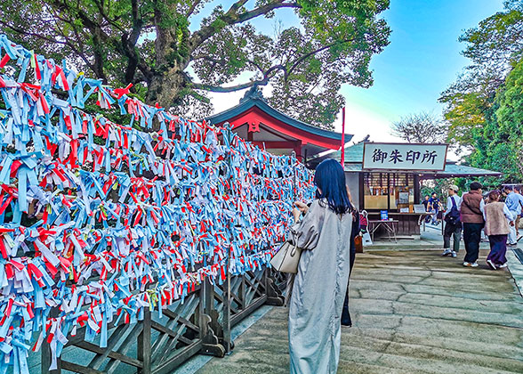 The Colorful Papers Praying for Wishes