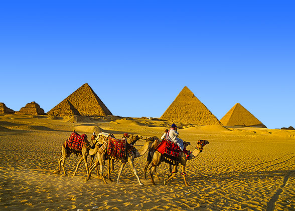 Camel Ride at Giza
