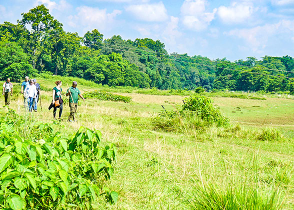 Nuwara Eliya Walking Tour