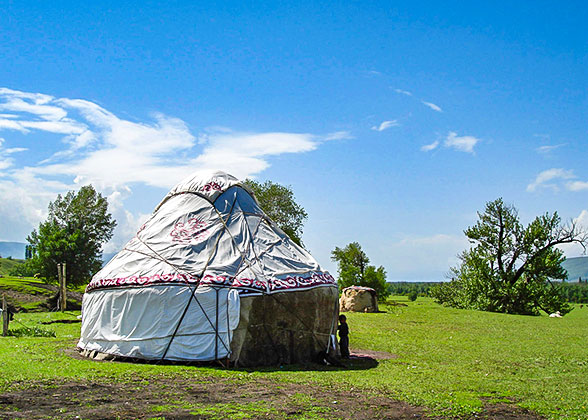 Safari Yurt Camp