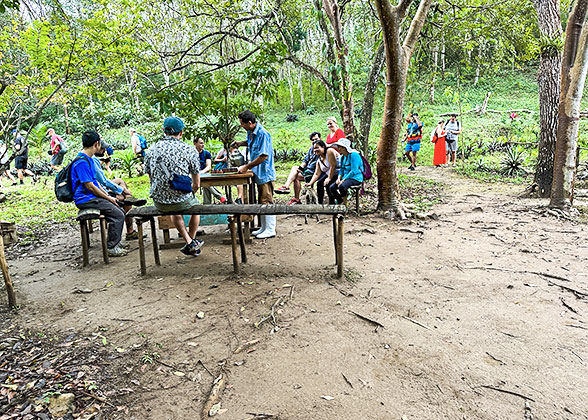 Bangladesh Forest