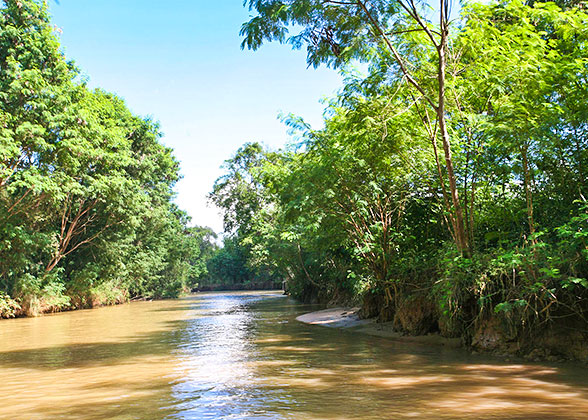 Bangladesh River