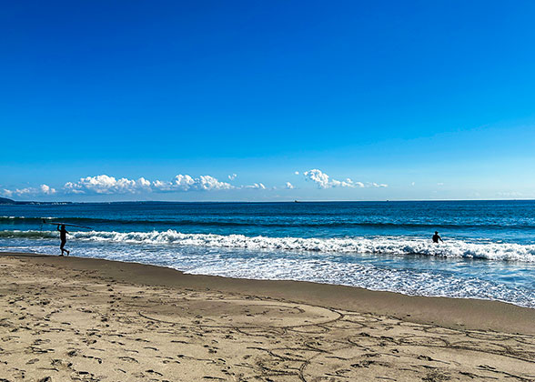 The Beach of Uminonakamichi Seaside Park