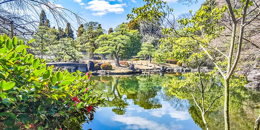 The Ohori Park on Clear Days