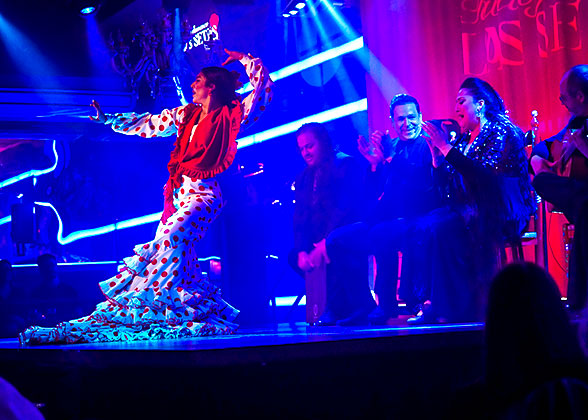 Enjoy a Brilliant Flamenco Show