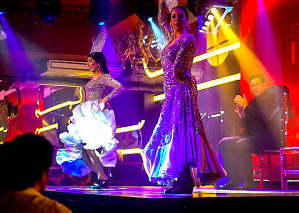 Enjoy a Flamenco Show