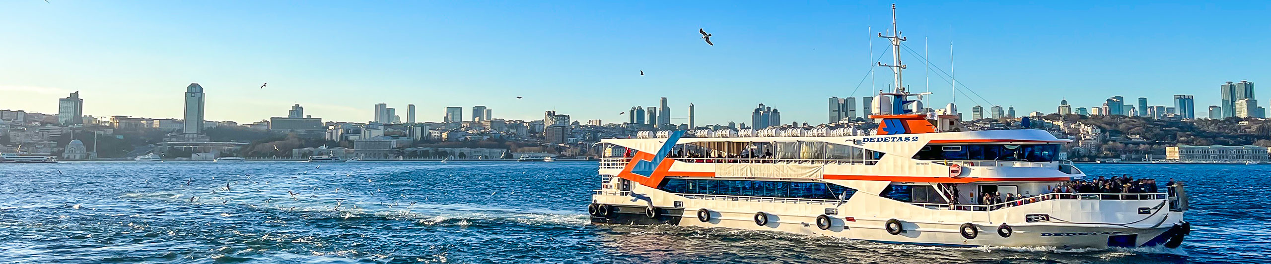 Istanbul Bosphorus Cruise