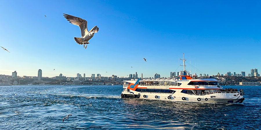 Bosphorus Cruise