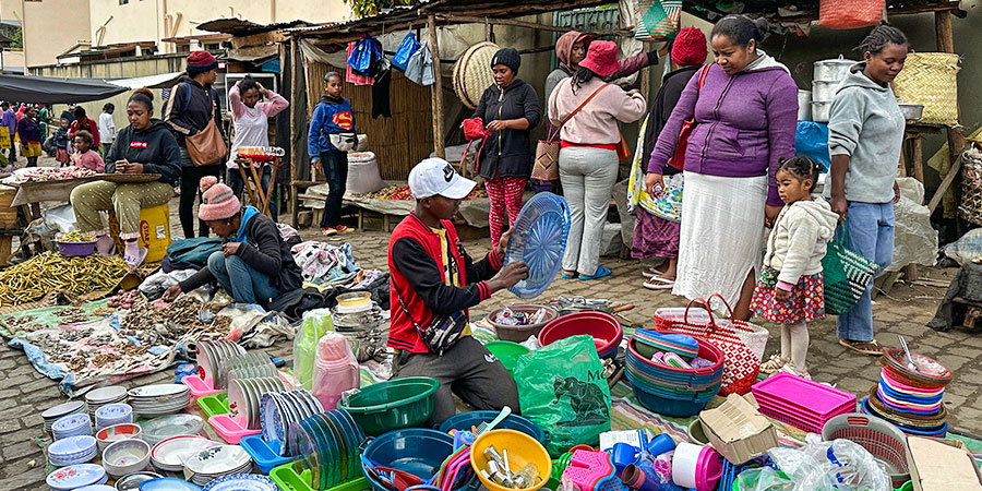 Local Market of Andasibe