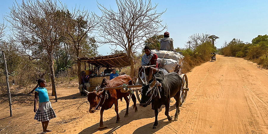 The Dusty Road in Antananarivo