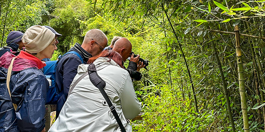 Visitors Take Pictures in National Park