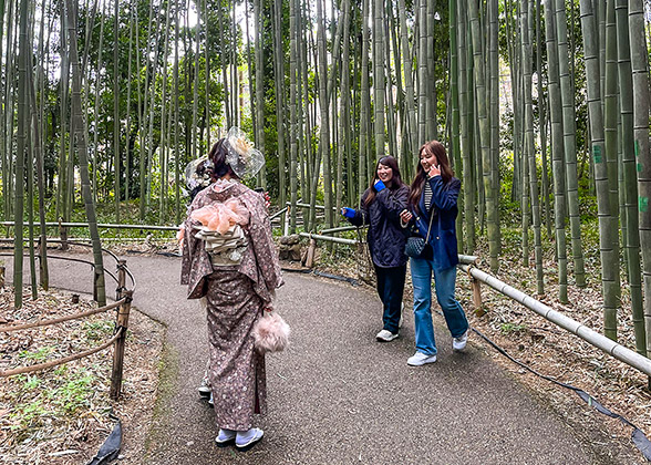 Arashiyama Grove in Autumn